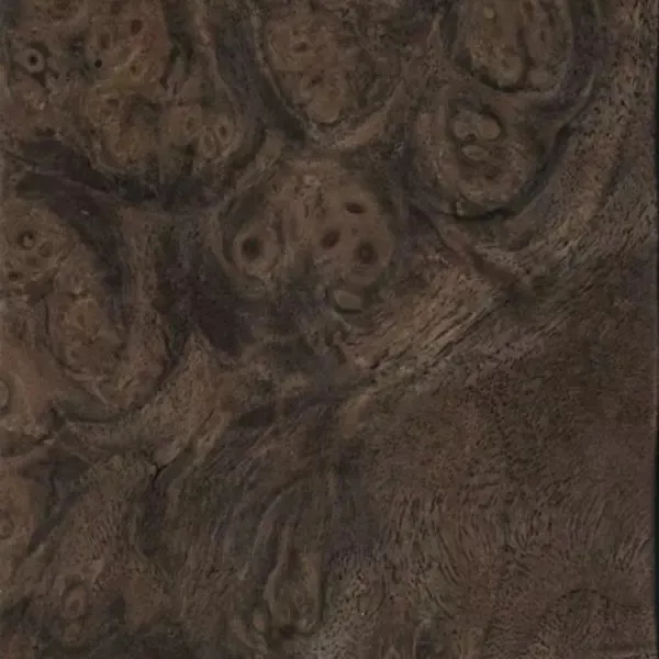 Immagine - Canaletto americano