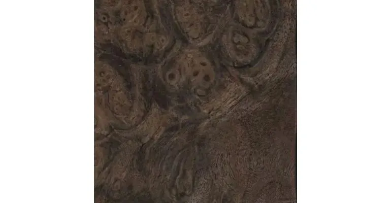 Immagine - Canaletto americano