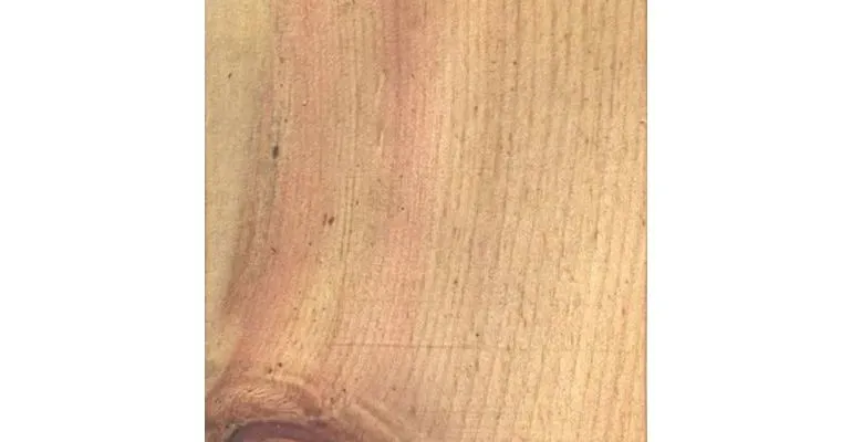 Immagine - Cirmolo