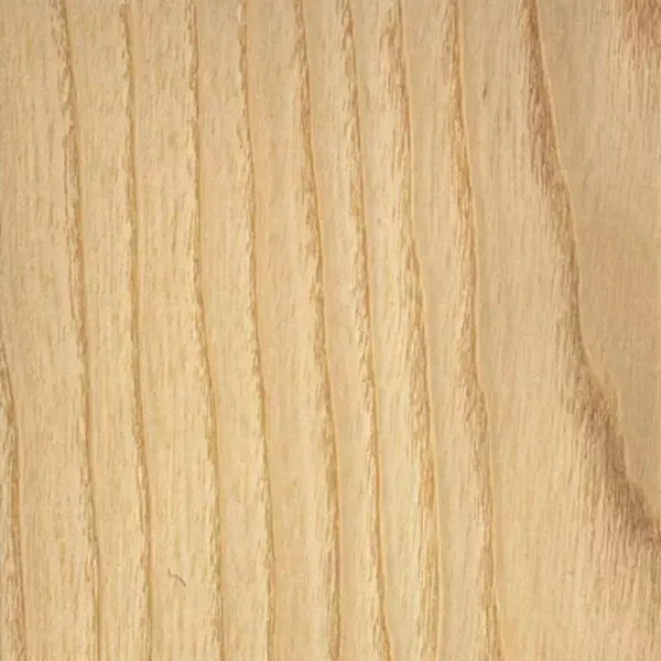 Immagine - Frassino bianco