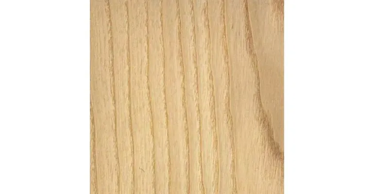 Immagine - Frassino bianco