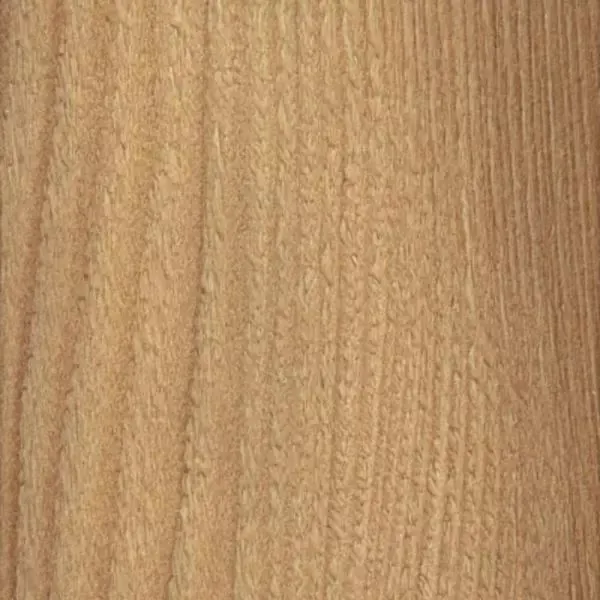 Immagine - Abete