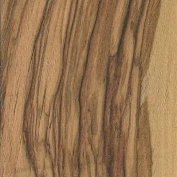 Immagine - Olivo